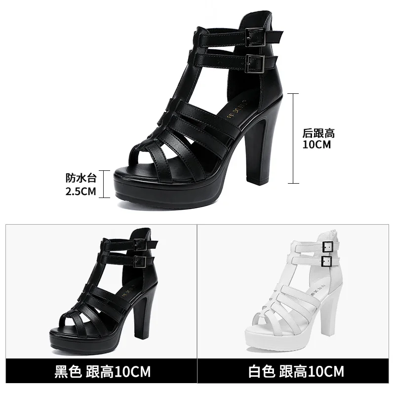 Gladiator Ladies Shoe for Wome - Women Shoes Formal recensie en prijs